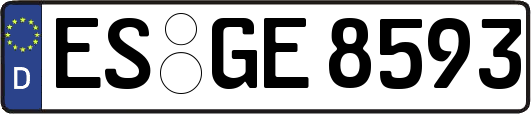 ES-GE8593