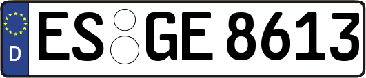 ES-GE8613