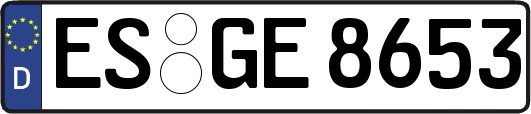 ES-GE8653