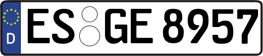 ES-GE8957
