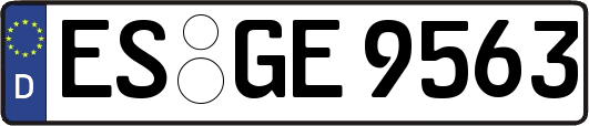 ES-GE9563
