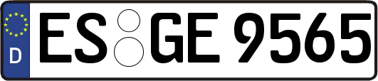 ES-GE9565