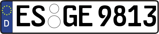 ES-GE9813