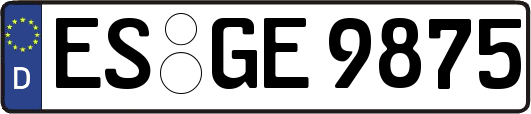 ES-GE9875