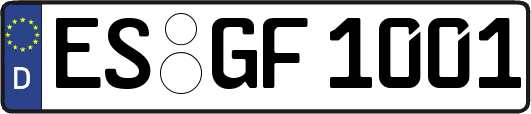 ES-GF1001