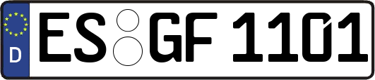 ES-GF1101