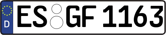 ES-GF1163