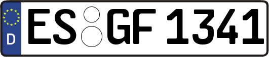 ES-GF1341
