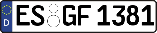 ES-GF1381