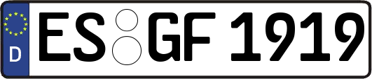 ES-GF1919