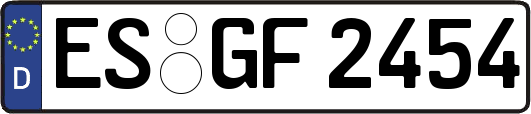 ES-GF2454