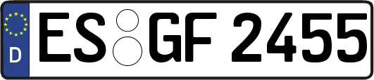 ES-GF2455