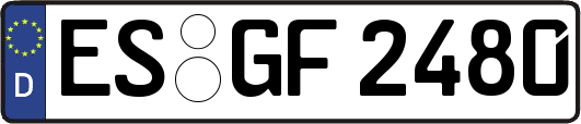 ES-GF2480