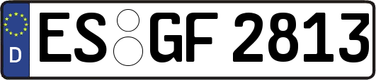 ES-GF2813