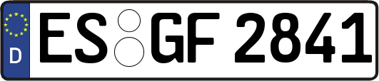 ES-GF2841