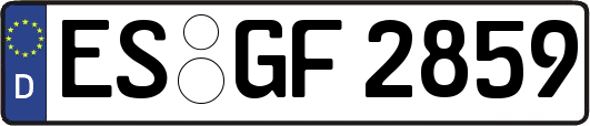 ES-GF2859