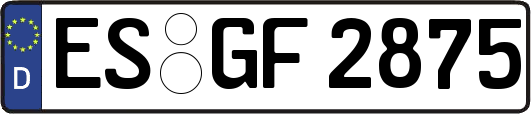 ES-GF2875