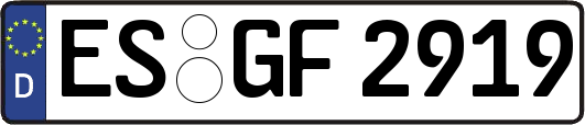 ES-GF2919