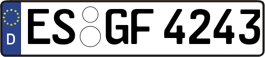 ES-GF4243