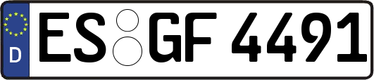 ES-GF4491