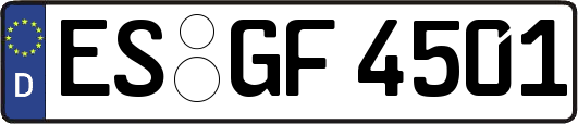 ES-GF4501