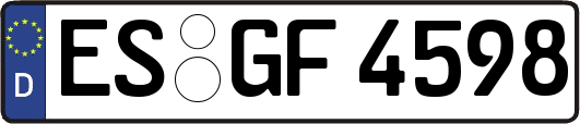 ES-GF4598