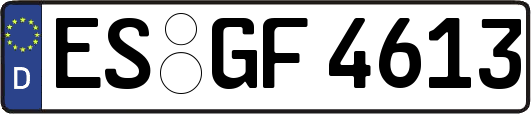 ES-GF4613