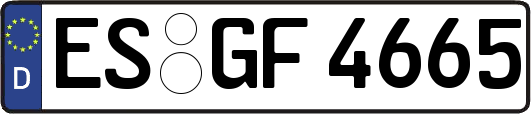 ES-GF4665