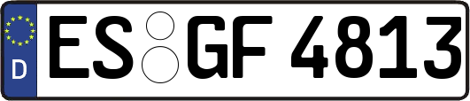 ES-GF4813
