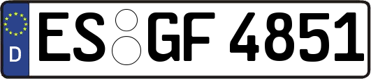 ES-GF4851
