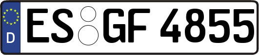 ES-GF4855