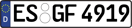 ES-GF4919