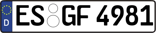 ES-GF4981