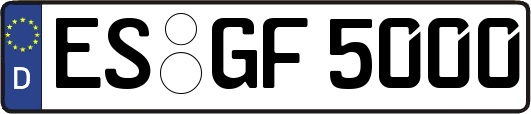 ES-GF5000