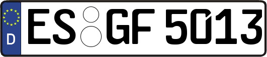 ES-GF5013