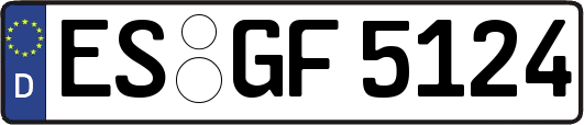 ES-GF5124