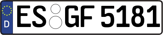 ES-GF5181