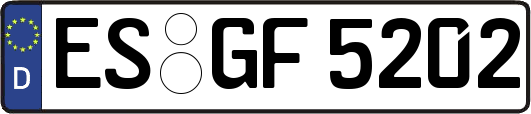 ES-GF5202