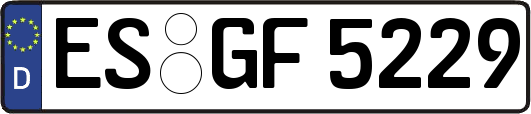 ES-GF5229