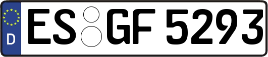 ES-GF5293