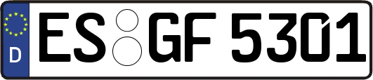 ES-GF5301