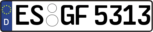 ES-GF5313