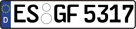ES-GF5317