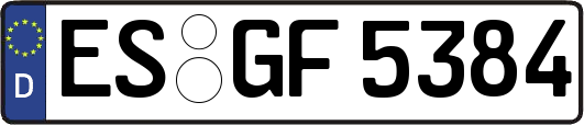 ES-GF5384