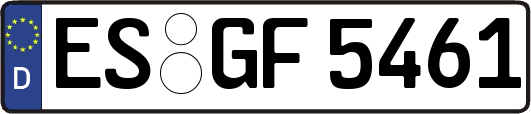 ES-GF5461