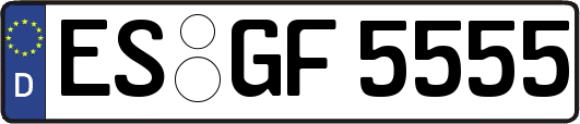 ES-GF5555