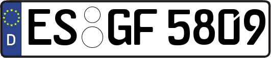 ES-GF5809