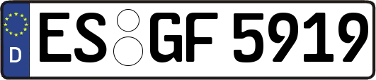 ES-GF5919