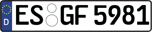 ES-GF5981