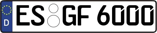 ES-GF6000